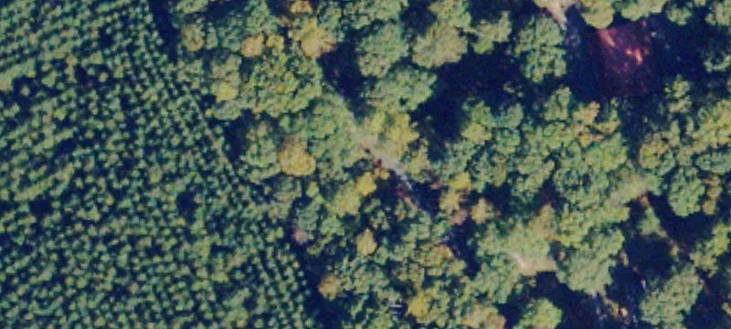 Wooded Acreage in Prince Edward