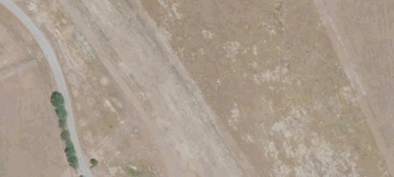 Agricultural Land with Income Potential