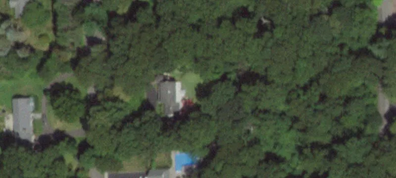 Wooded Lot in Prime Location