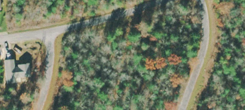 Wooded Lot For Sale
