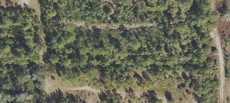 Land Near Orlando and Beach