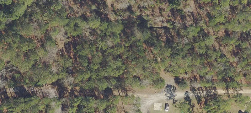 5-Acre Wooded Lot Keystone Heights