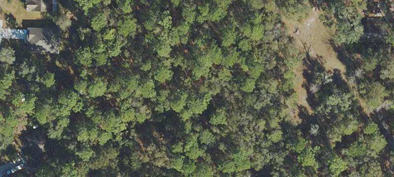 9.5 Acre Residential Lot