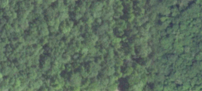 10 Acres of Pasture Land