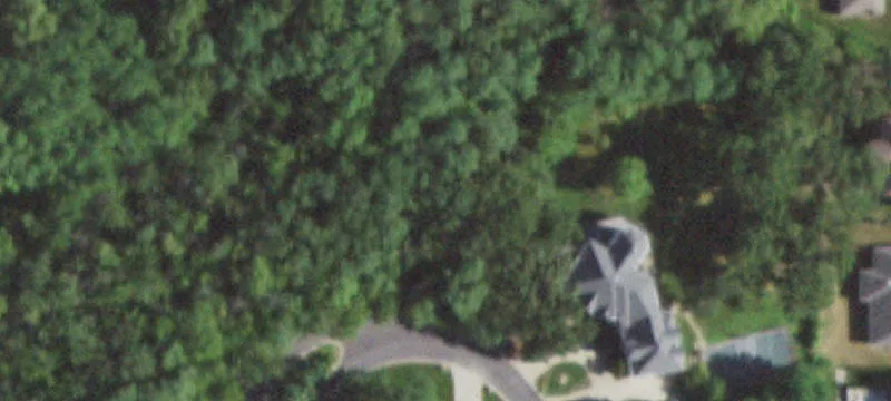Orland Park Wooded Walkout Lot