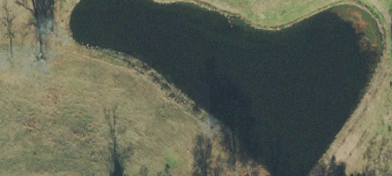 Nolensville Development Opportunity: 158.5 Acres