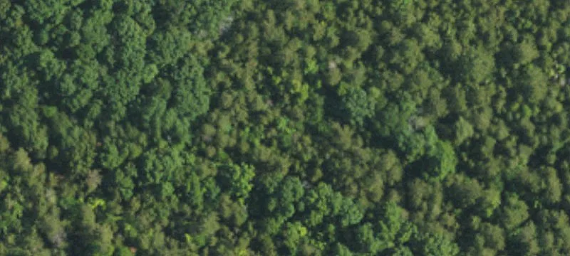 Harrisburg Secluded Acreage For Sale