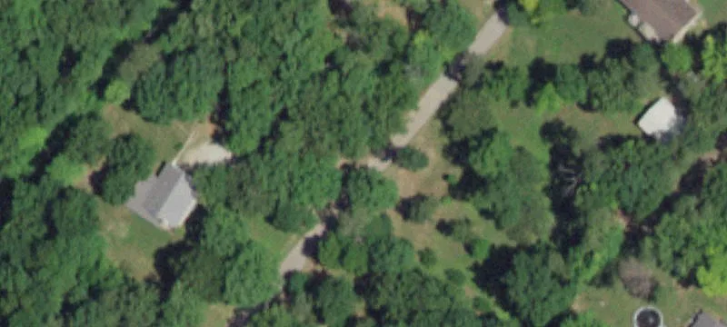Secluded Timber Tract For Sale