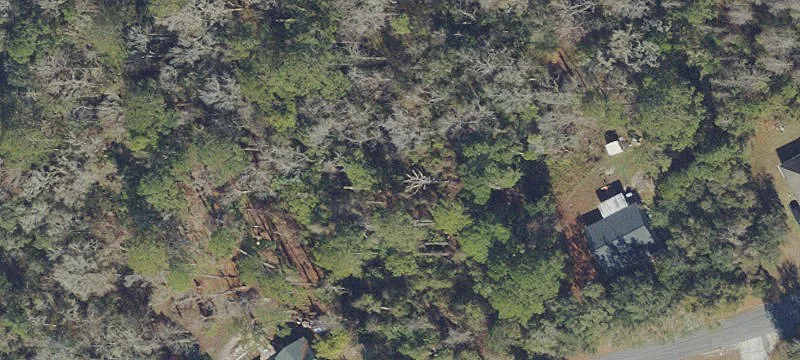 Residential Lot in Hall Boree