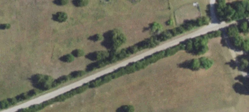 Trenton Acreage with Tree-Lined Frontage