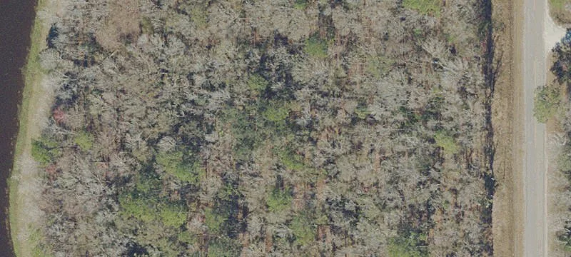 Creek-Adjacent 1.51 Acre Homesite