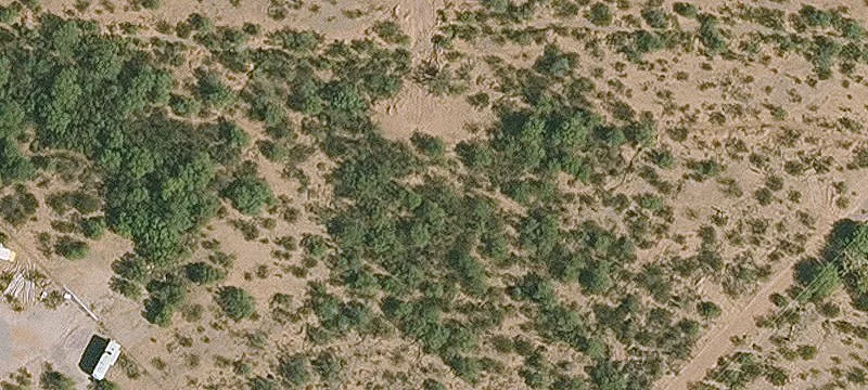 Spacious Land in Silverbell Estates