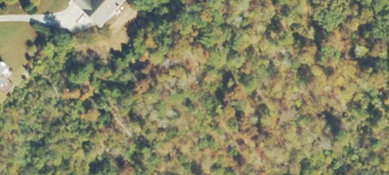 Trenton GA Homesite with Views