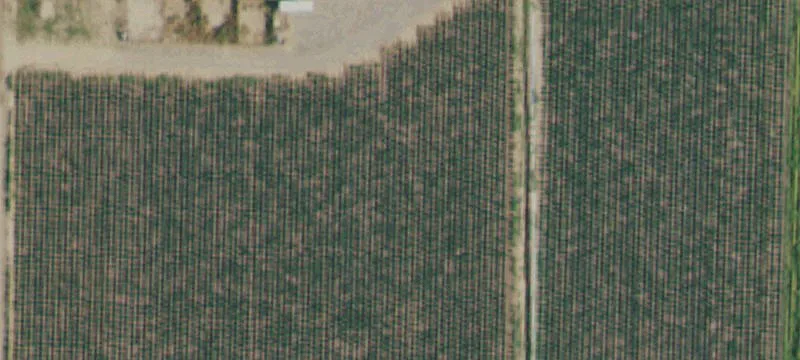 Irrigated Land with Mountain Views