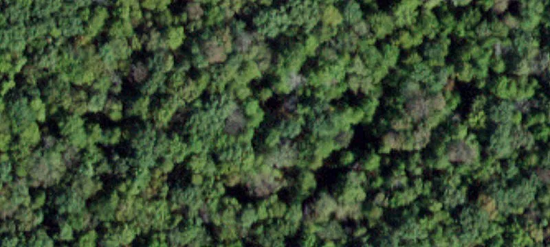 Wooded Lot Near Delaware River