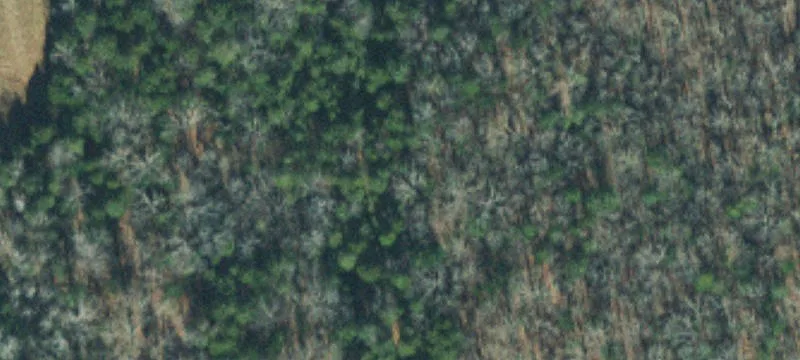 Williamson County Acreage For Sale