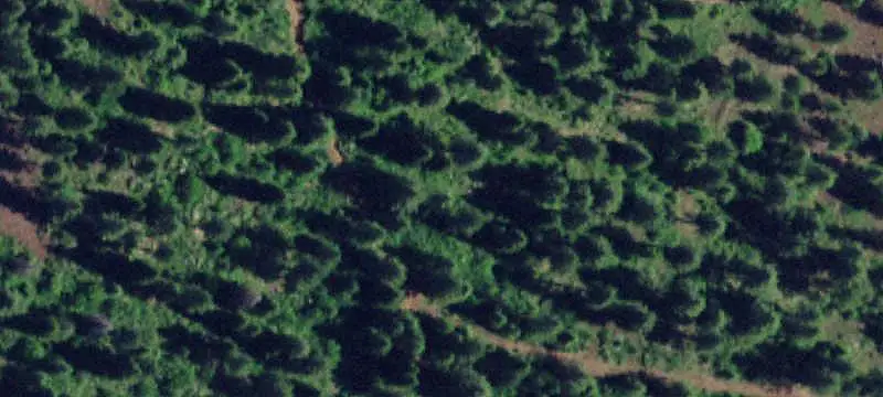 MeadowCreek Golf Resort Homesite