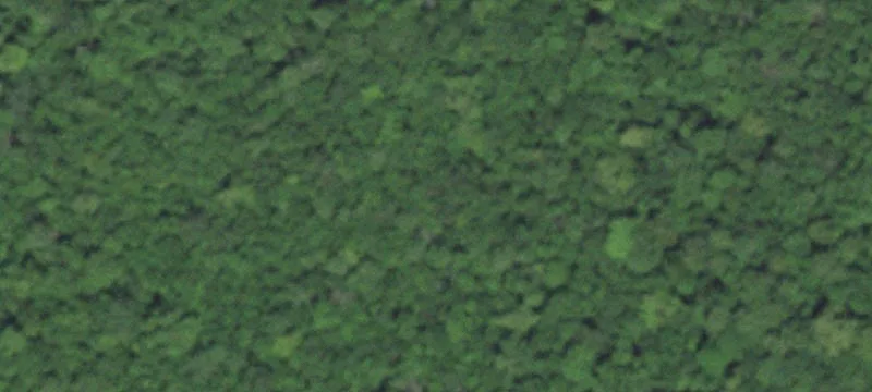 Wooded Lot in Sandy Pines
