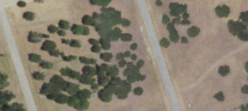 Wooded Lot in Retreat Club