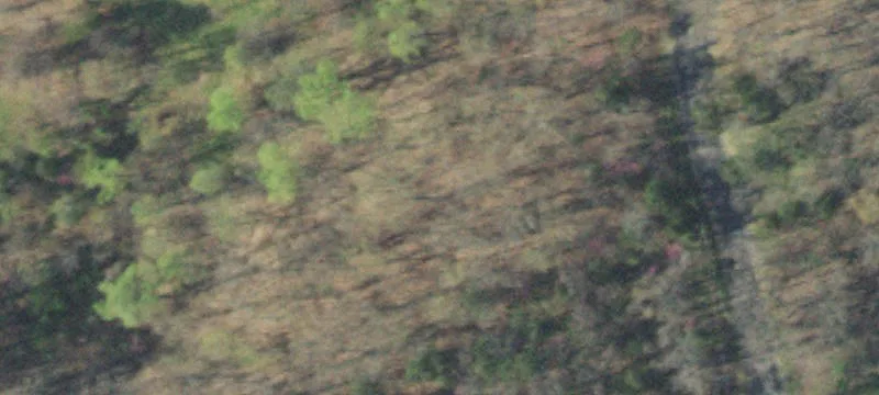 Lakeside Lot in Chelaque Estates