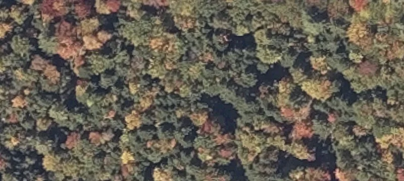 Harrison Maine Buildable Acreage For Sale
