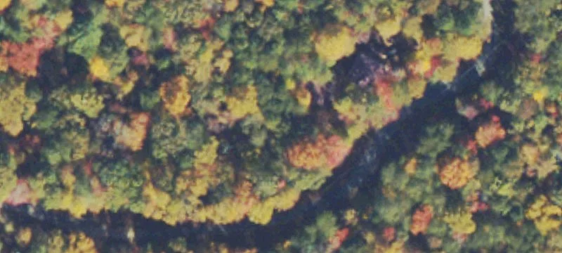 Wooded Lot Near Lake Nottely