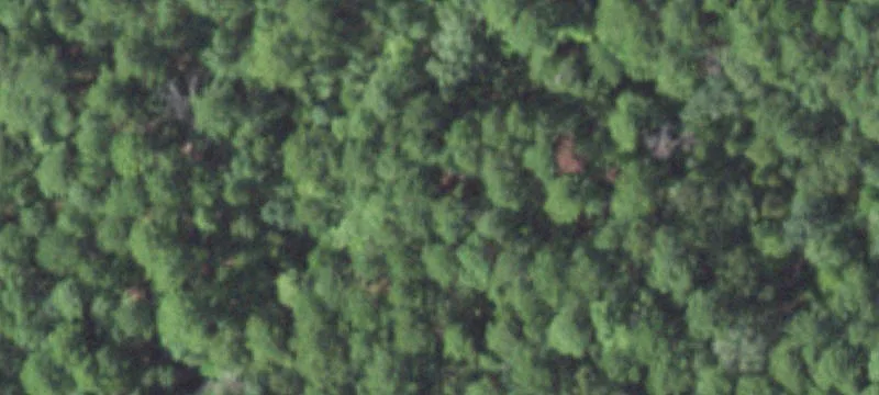Land Adjoining Sabine National Forest