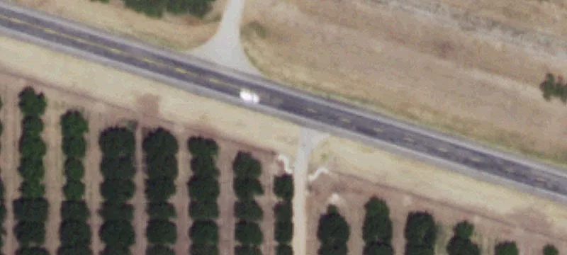 Established Orchard on San Saba River