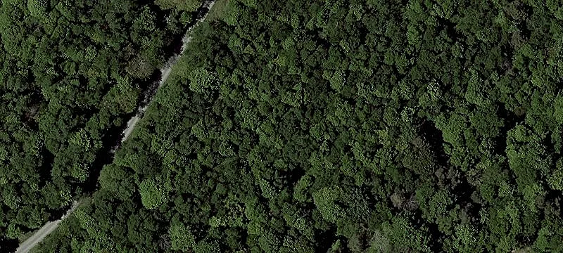 6 Acres on Backbone Mountain