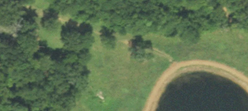 Rusk County Farm and Ranch