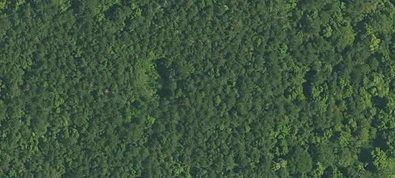 Residential Land in Live Oak