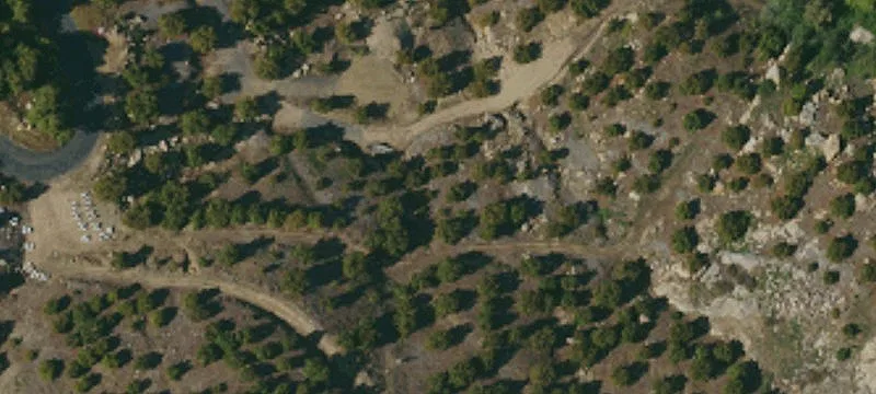 Bonsall Agricultural Estate Grove