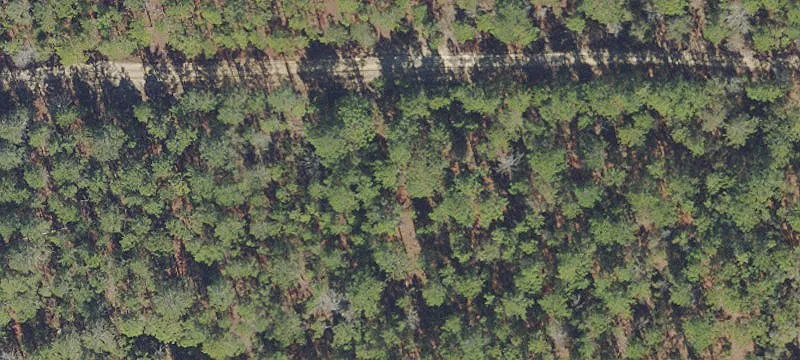 Land for Sale in Florida