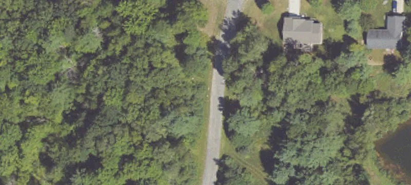 Partially Wooded Building Lot