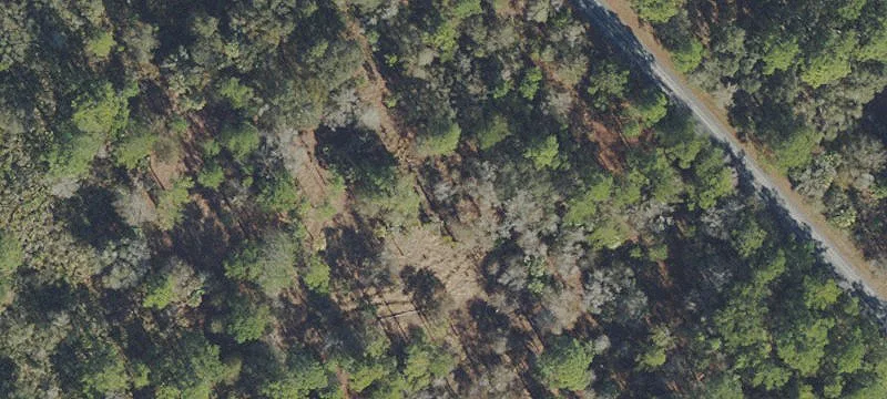 Residential Lot in Crystal River