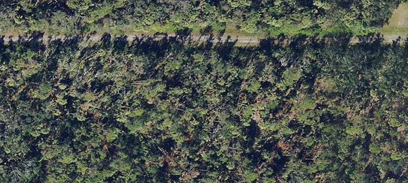 Residential Lot in Growing Area