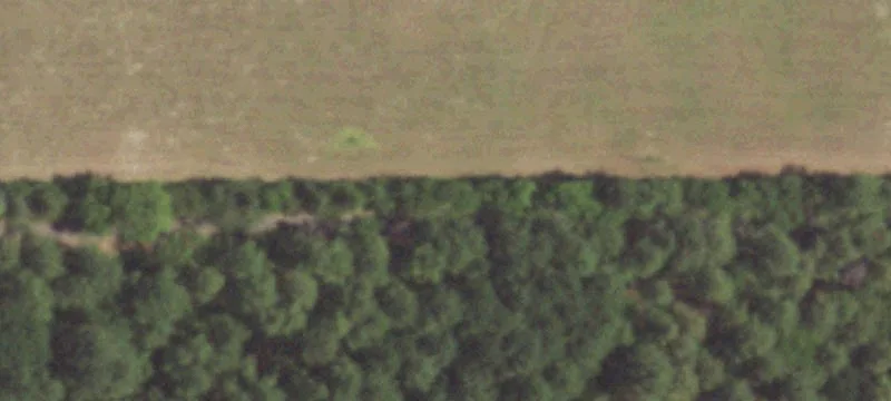 Productive Wood County Ranch