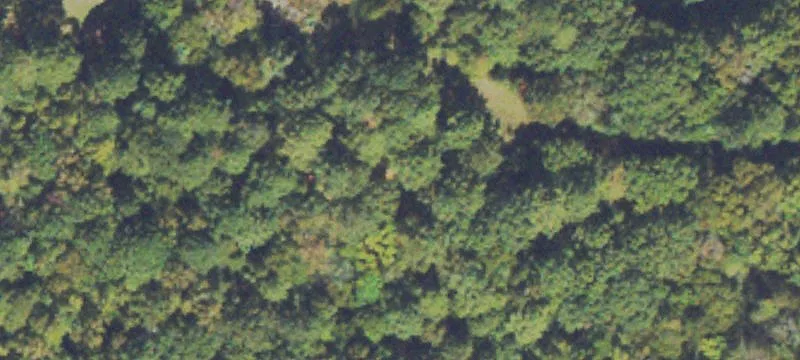 Undeveloped Land on Elberton Highway