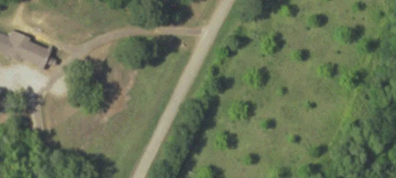 52-Acre Property with Mature Trees