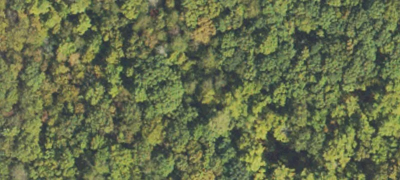 Land For Sale Blue Ridge