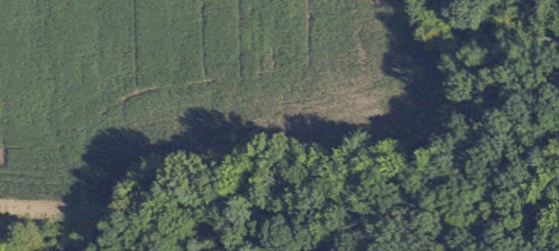 Land For Sale in Bannister