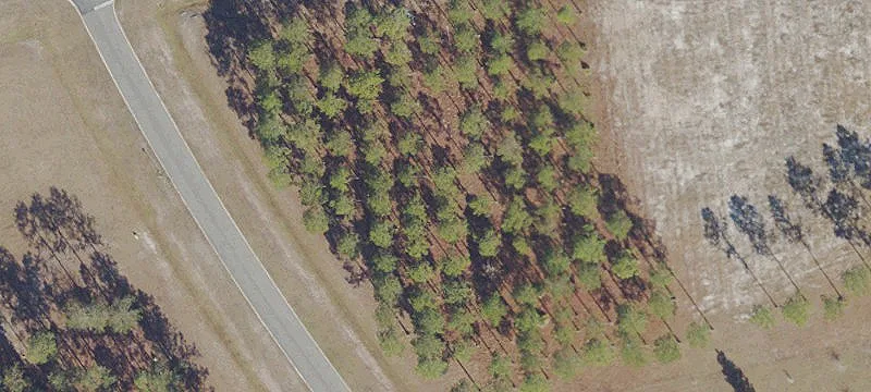 Land For Sale Jacksonville