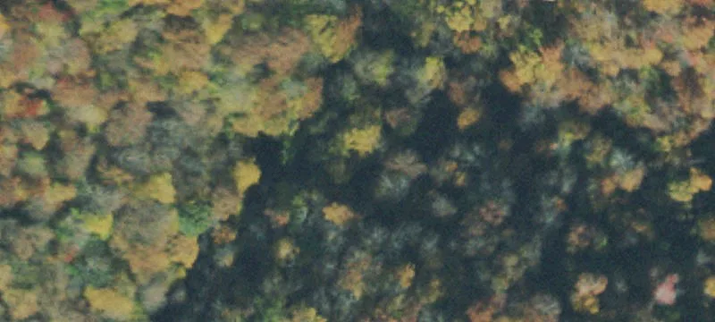 Land Available on South Fork