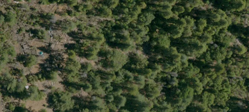 Coulterville Land For Sale