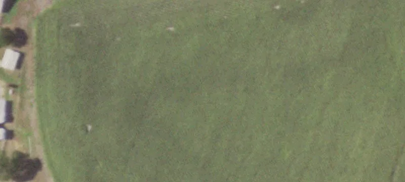 Milam County Land For Sale