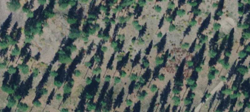 Land Available in Mineral County