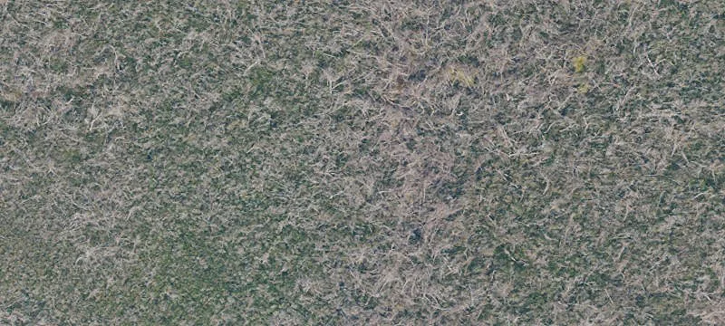 Sanibel Land Parcel For Sale