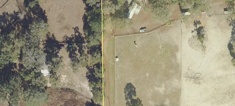 Land For Sale in Ocala