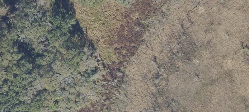 Gainesville Land For Sale
