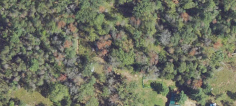 Land For Sale Brohman